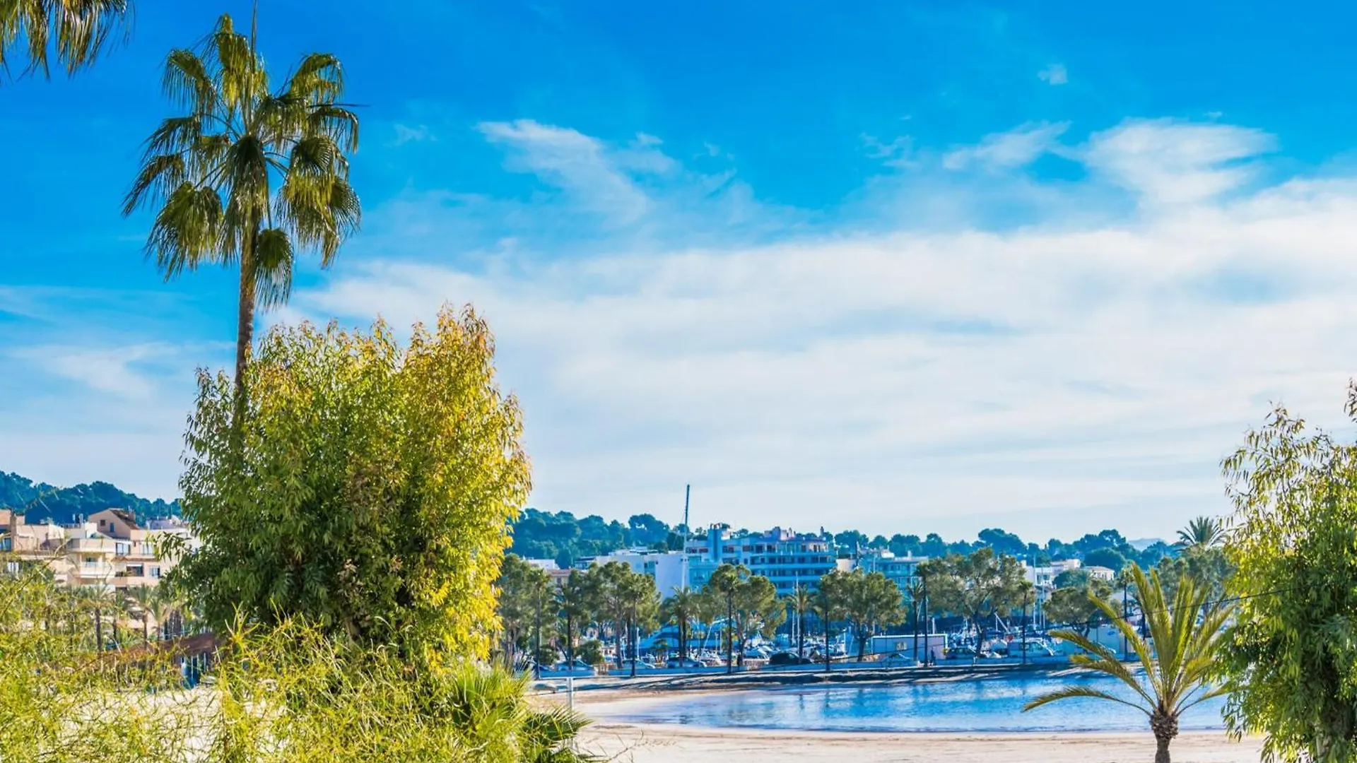 Lejlighed Apartment, 200M From Alcudia Beach Spanien