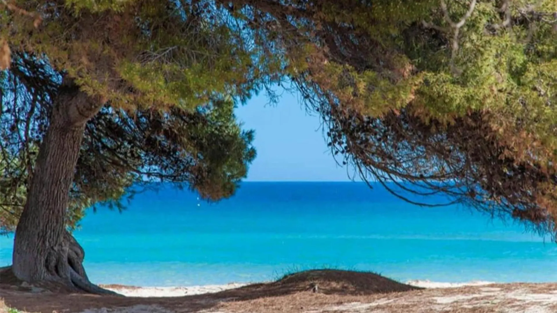 Apartment, 200M From Alcudia Beach Lejlighed Alcudia (Mallorca)