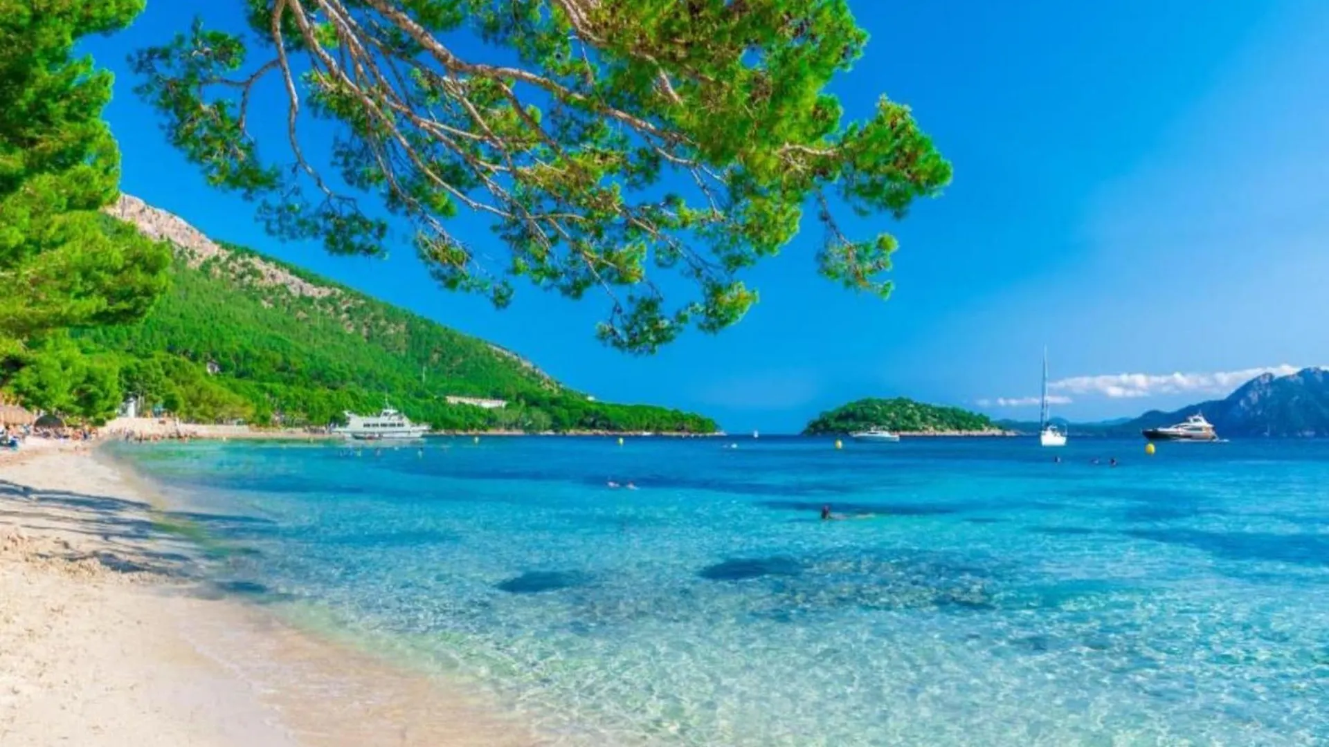 Lejlighed Apartment, 200M From Alcudia Beach